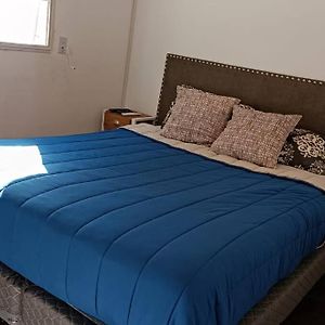 Apartamento de 1 Dormitorio